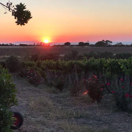Vakantieboerderij Monte Istulargiu