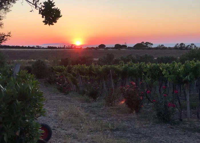 Séjour à la ferme Monte Istulargiu